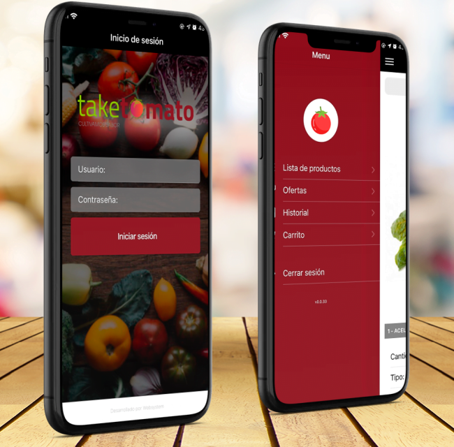 Agencia de posicionamiento SEO en Valencia -taketomato app-copi